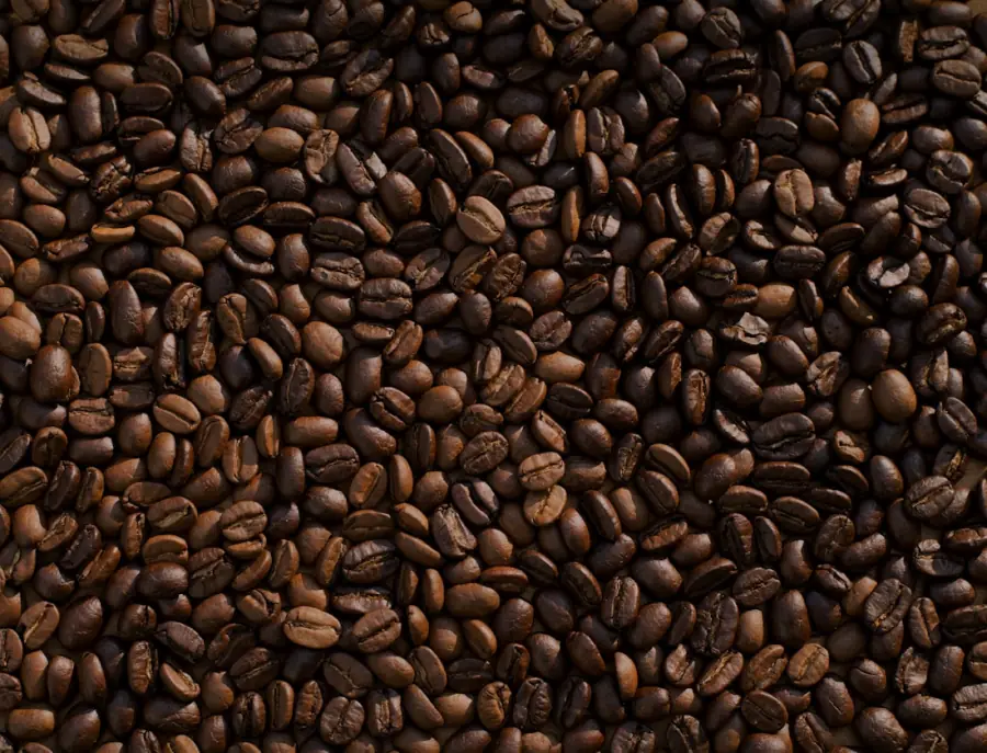 Formatfüllende, mittelbraun geröstete Kaffeebohnen in Nahaufnahme